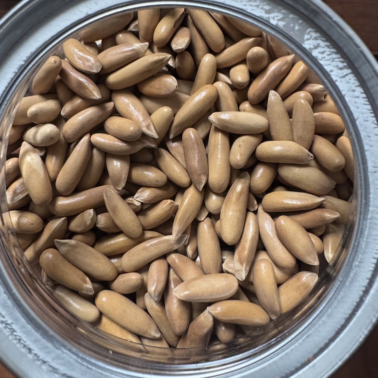 【中国直送】Every Fruit Time ブラジル産松の実、アフガニスタン産長粒手剥き松の実 200g オリジナルフレーバー 輸入ナッツ 栄養豊富でヘルシーな新年向けドライフルーツスナック【殻が薄く、剥きやすく、原材料がきれい、均一でふっくらとした大きなナッツ】 6