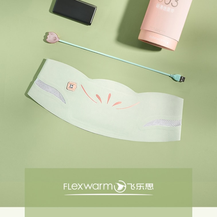 【中国直邮】 飞乐思 暖宫腰带大姨妈神器痛经暖腰护腰带加热腹带  绿意明媚 一个装 5