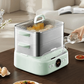 Electric Steamer Multi-Function Home Steamer 1pc SM30D21US