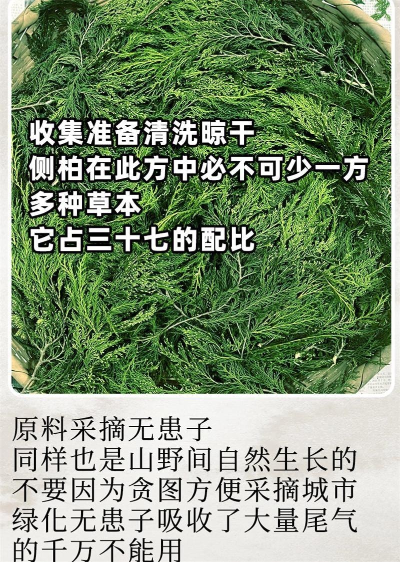 【中国直邮】 潮利 侧柏叶洗发水 去屑止痒控油生姜防脱生发纯草本洗发水500ml/瓶