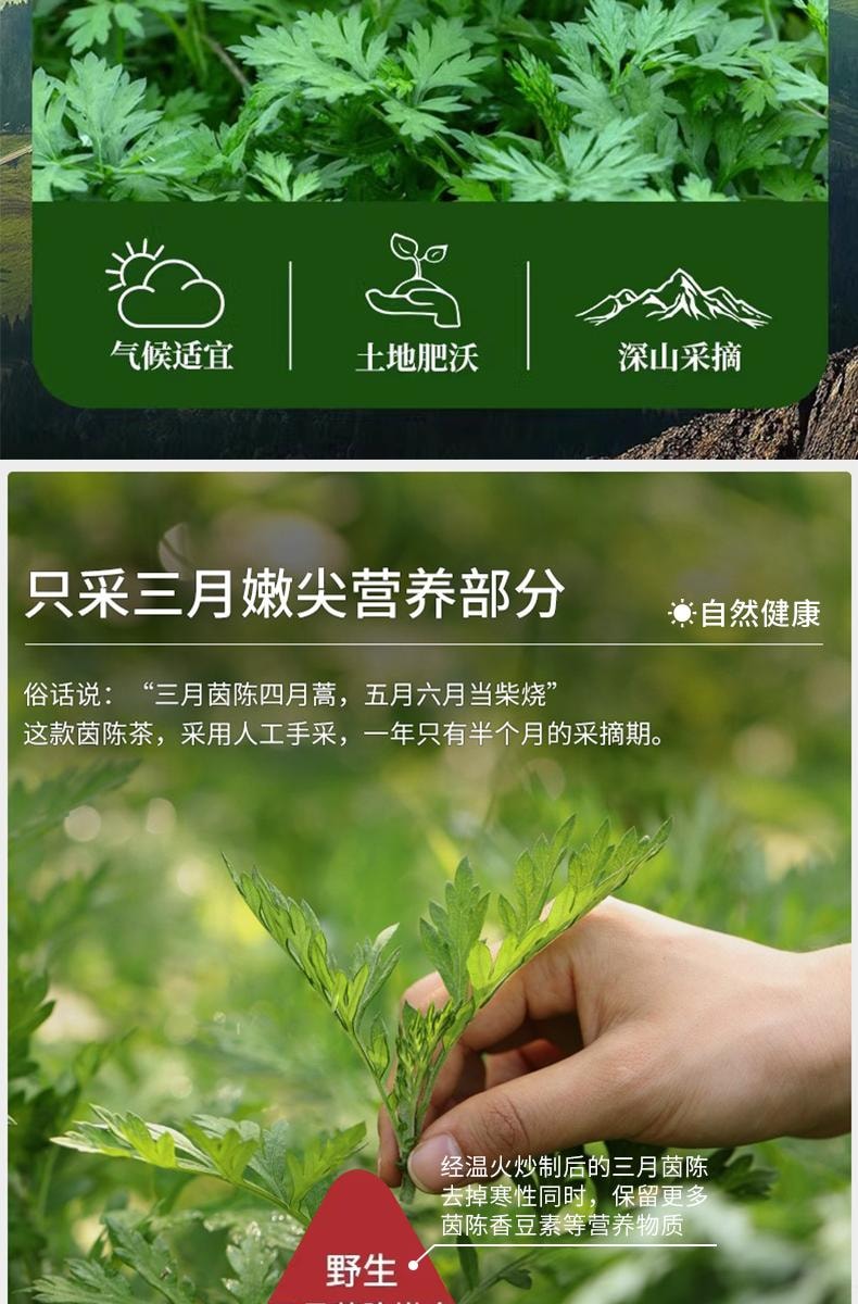 【中国直邮】 关东礼 茵陈草30包/袋中药材三月茵陈野生嫩芽新鲜干茵陈白蒿茶泡水正品