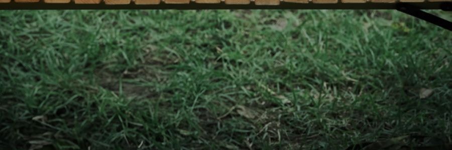 Adiu阿丟自烤 一次性烤肉爐 戶外烤肉架露營炊具 藍色經典款