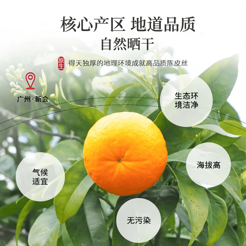 【中國直郵】 蜀風雅香 陳一凡 陳皮 無硫 養生茶 80g*3 240g