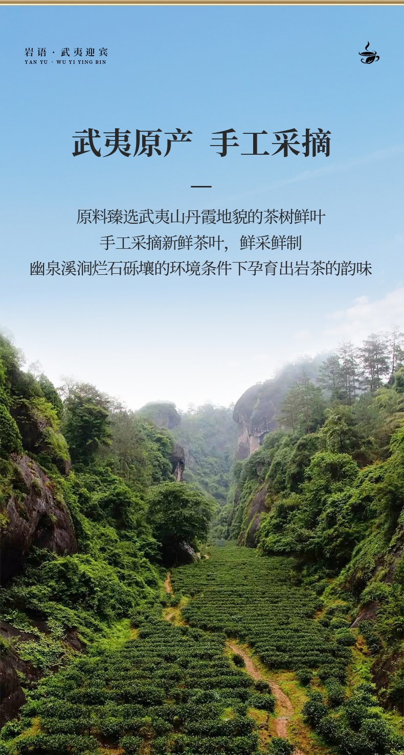 正山堂岩语 迎宾水仙茶叶礼盒 武夷岩茶  249克 (不含礼品袋)