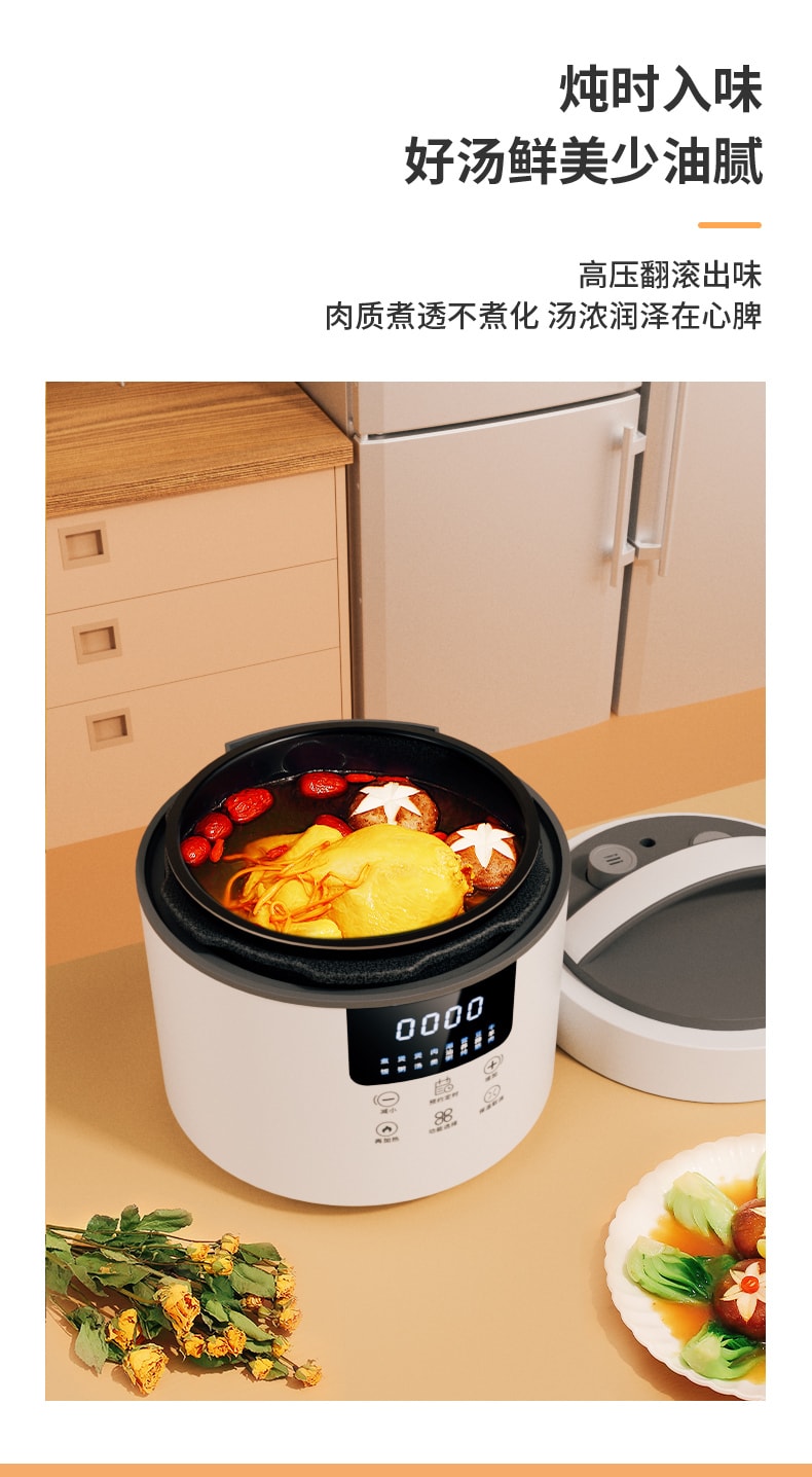 ByOrient Multi-functional Low Sugar Rice Cooker 4 Cups BO-RC01W