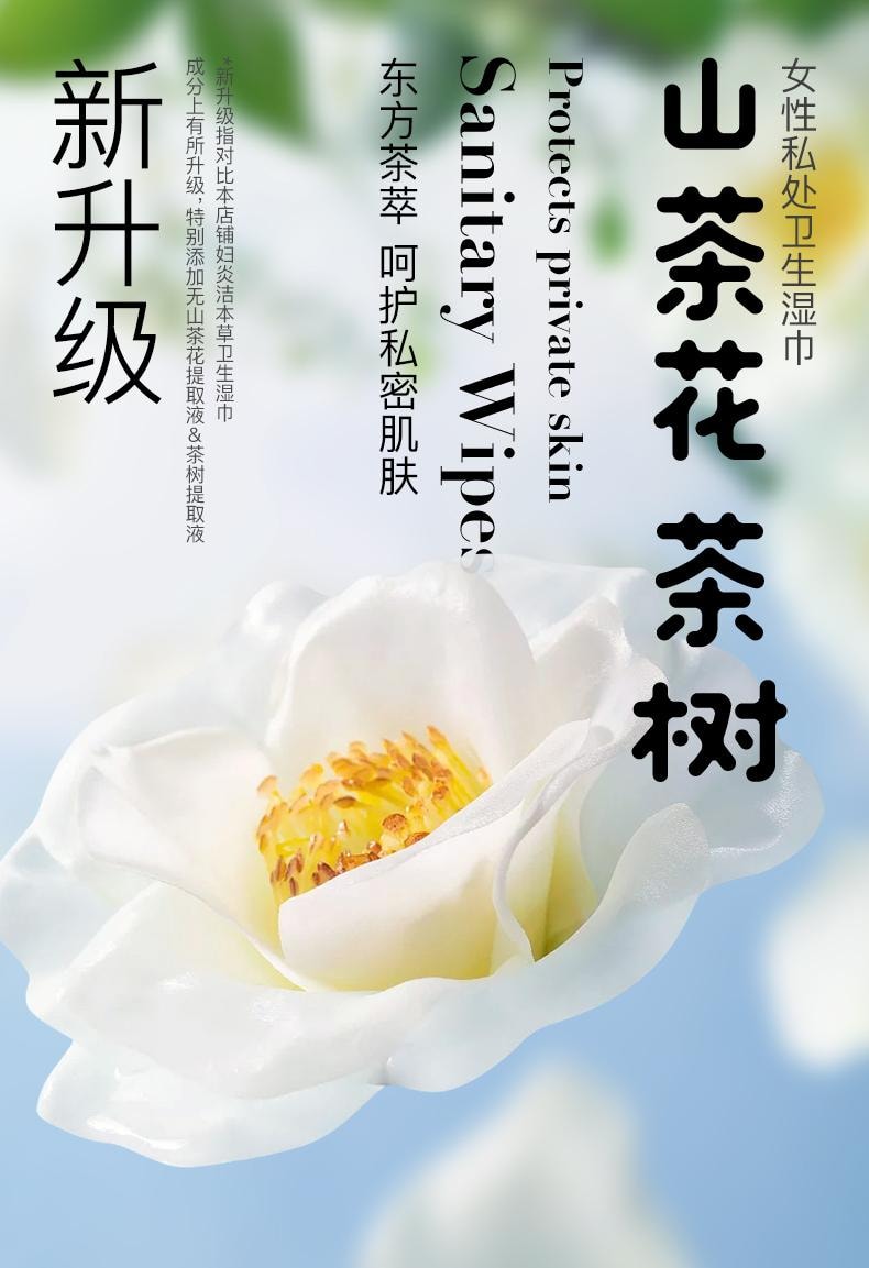 【中國直郵】 婦炎潔 私處濕巾衛生濕巾私護專用女濕巾紙潔陰護理清潔房事濕紙巾 20片/盒