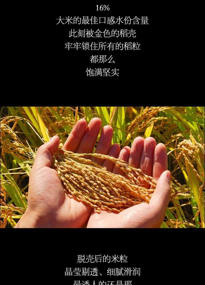 【中國直郵】 水月秦淮 五常米 2.5kg 優質稻花香 軟糯甜東北米
