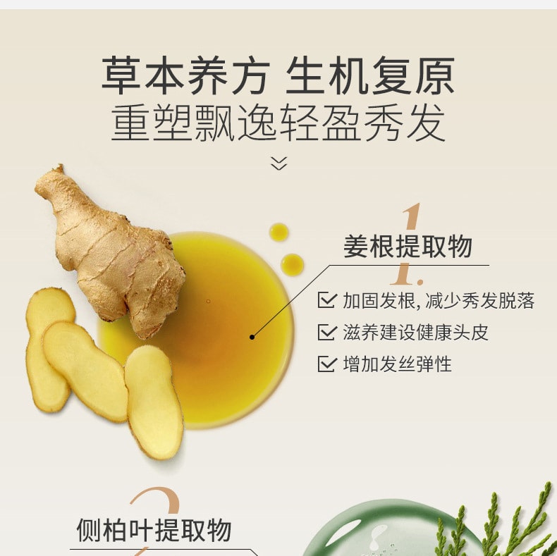 【中国直邮】修正 侧柏叶老姜洗发水乳育发固发防脱熬夜控油 320ml