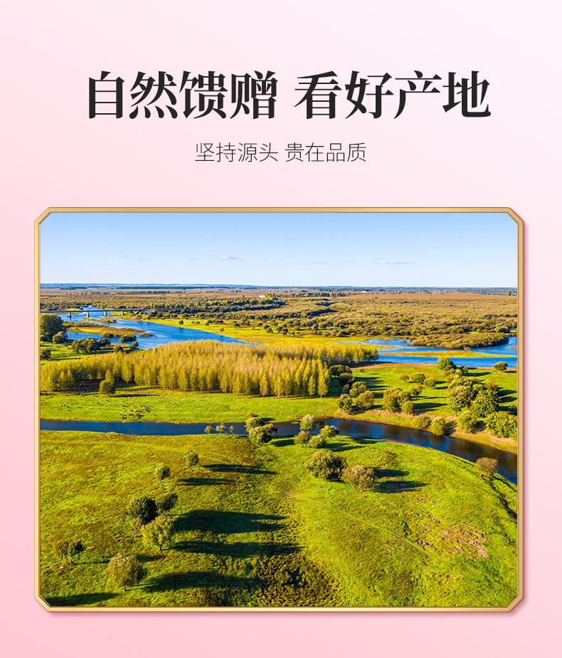 【中國直郵】 奧祥堂 龍血果150g/盒 茶正品泡水泡茶新鮮罐裝雲南深山龍血果