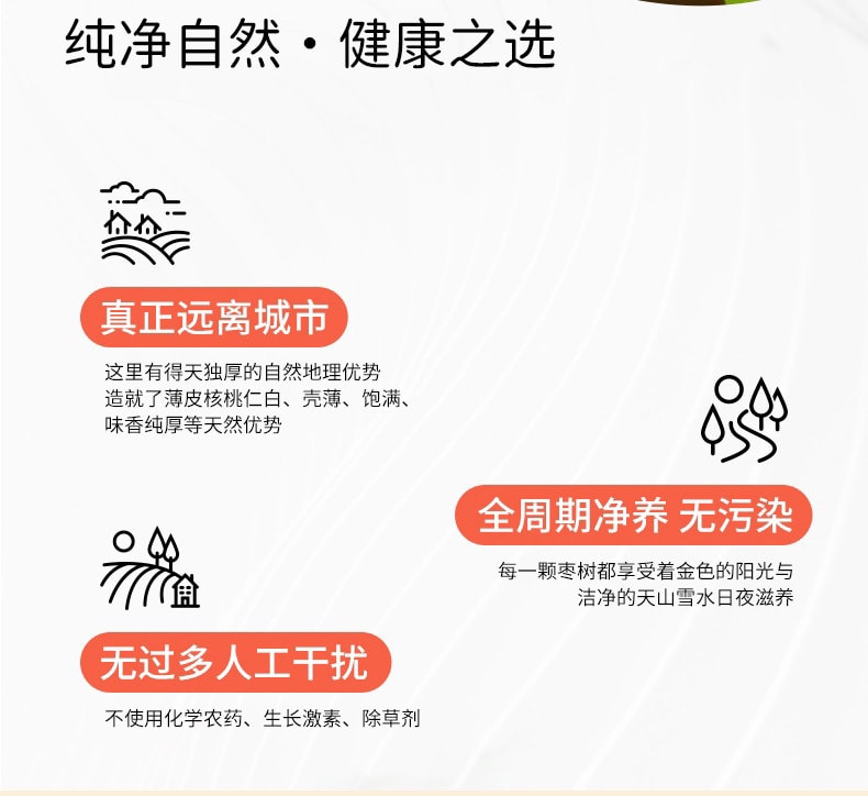 中國 棗致富 去皮棗仁派 元氣美味不傷胃 去皮無渣 90克 健康無添加 清蒸工藝 潤甜宜人