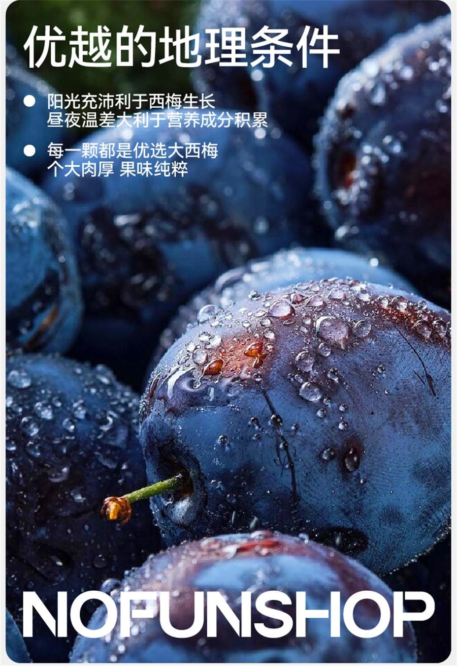 【中国直邮】  无趣的店 无核西梅干 果脯办公室追剧解馋健康孕妇零食小吃100g/袋