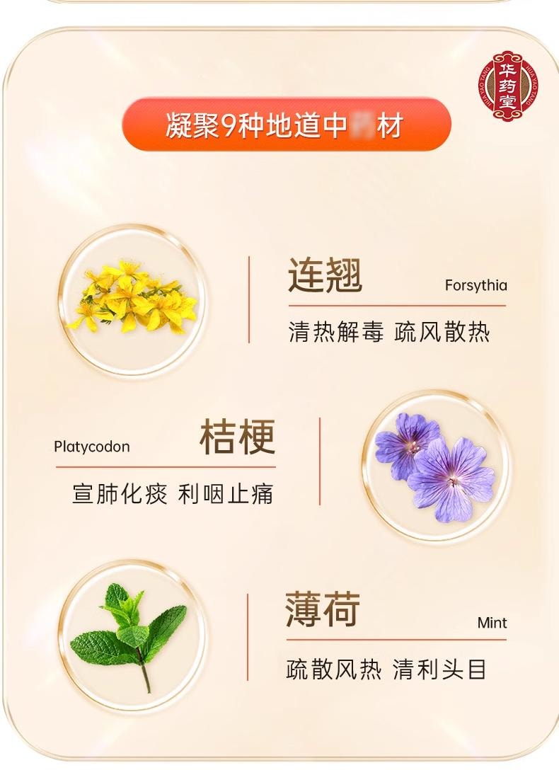  華藥堂 銀翹解毒片24片 辛涼解表 清熱解毒 風熱感冒 發燒頭痛 咳 咽喉痛