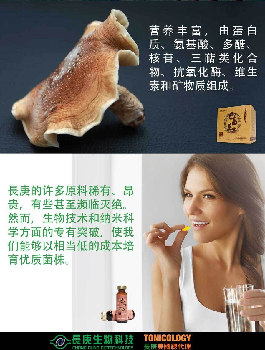 巴西蘑菇纯液 台湾长庚生物科技 礼盒装每盒30瓶 20毫升/瓶