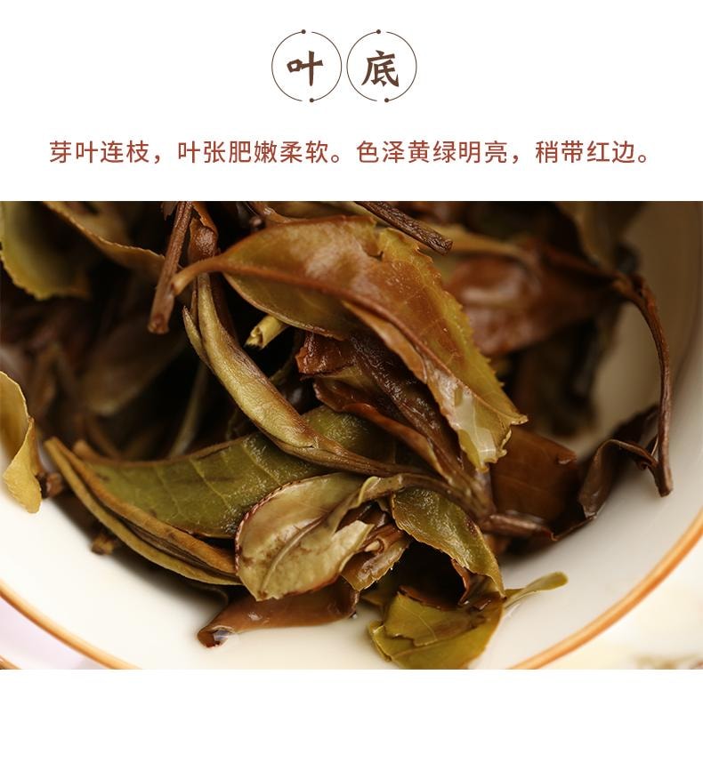 小师姐评茶 野径芳华 云南荒野白茶 2300米超高海拔茶园茶叶 传统工艺 30克