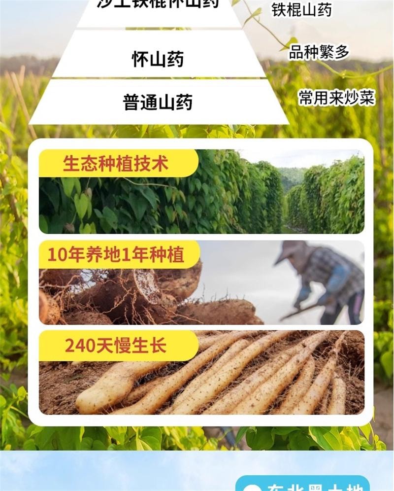 【中国直邮】 福东海 山药燕麦粉 铁棍山药燕麦粉早餐懒人速食儿童燕麦粥米糊 400g