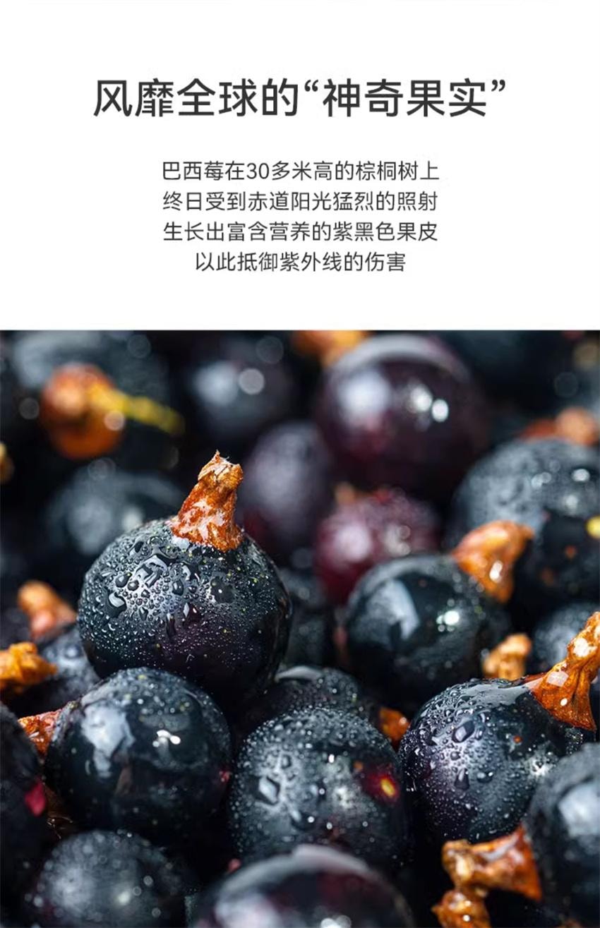 【中国直邮】 均衡大师 巴西莓粉 超级食物acai花青素纤维营养汁冲饮 50g/盒(小红书种草推荐)