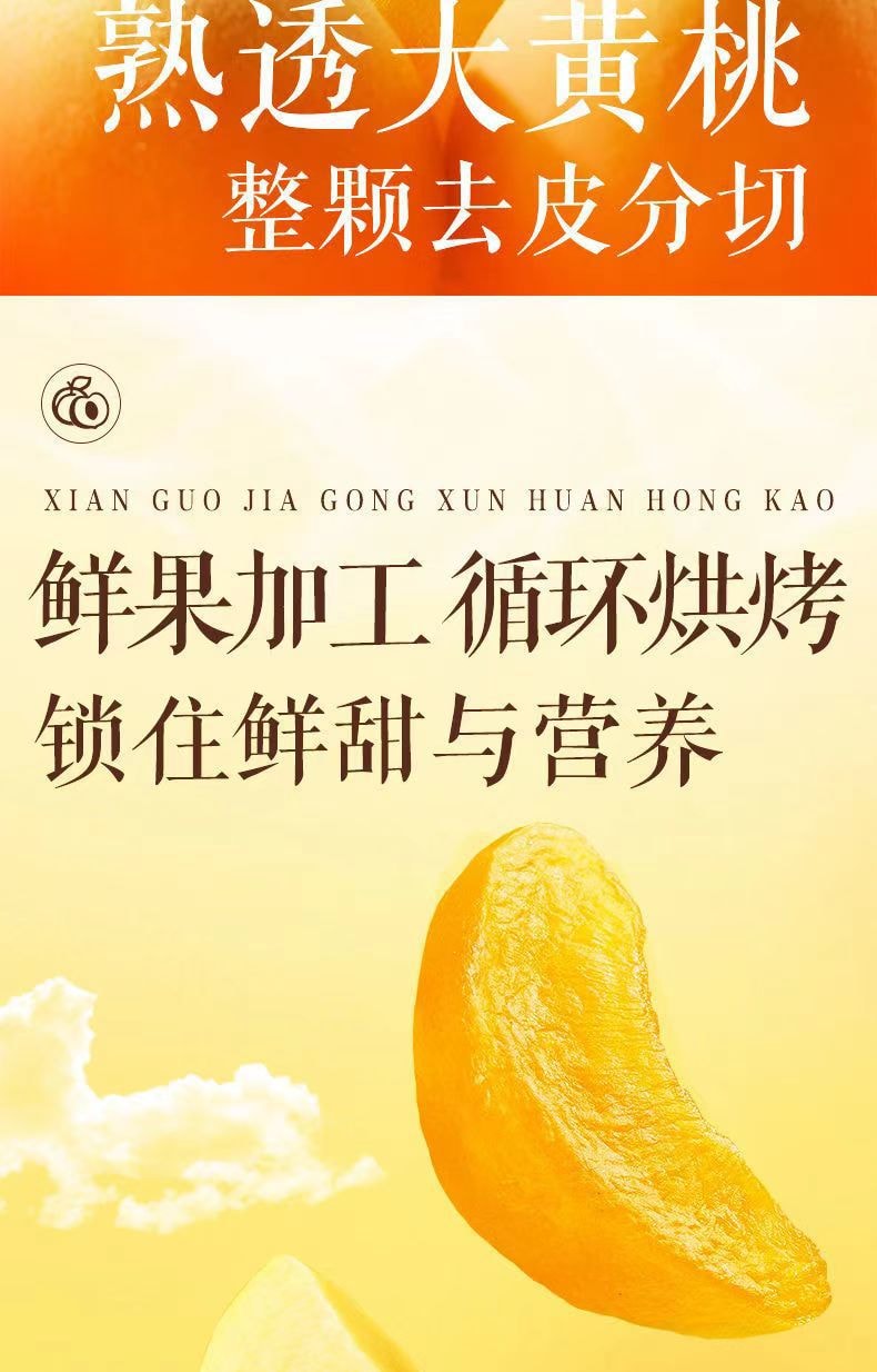 中國三隻松鼠 菠蘿蜜乾 原味 250g
