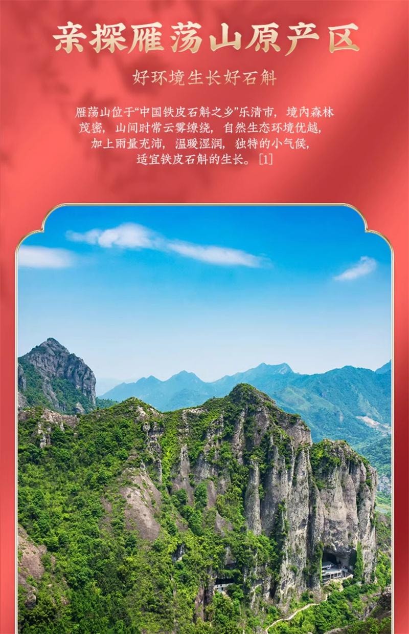 【中国直邮】 方回春堂 铁皮石斛 铁皮枫斗送礼长辈父母正品100g/盒