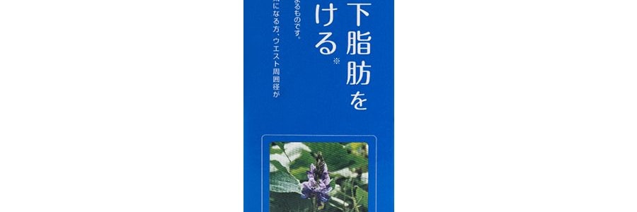 日本PILLBOX ONAKA 活性調理酵素葛花精華膳食營養素 瘦肚子 植物萃取 60粒