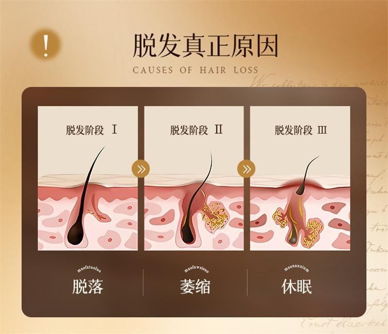 【中国直邮】  固然堂 姜易生防脱育发洗发液 生姜侧柏叶强固发根蓬松 防脱固发洗发水 300g/袋
