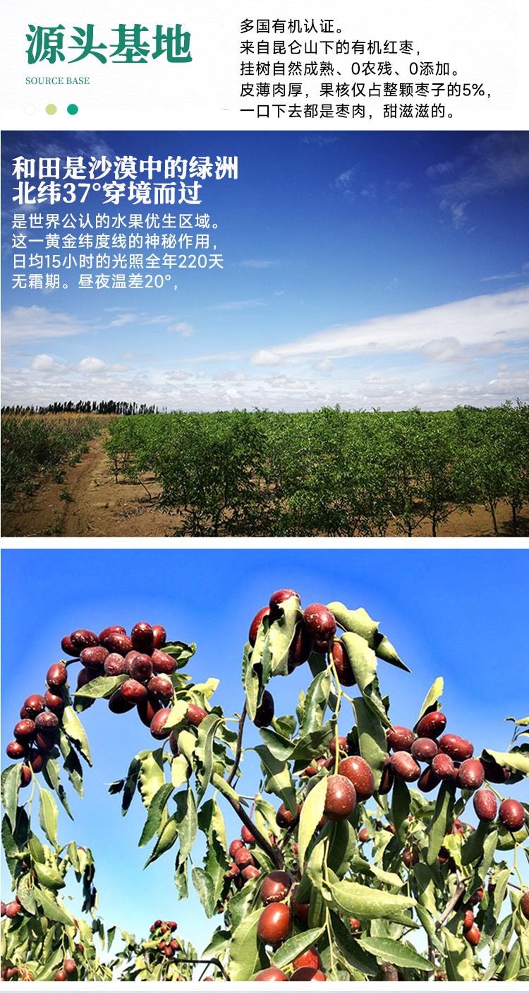 Organic Dried Jujube Filled Pie 168g