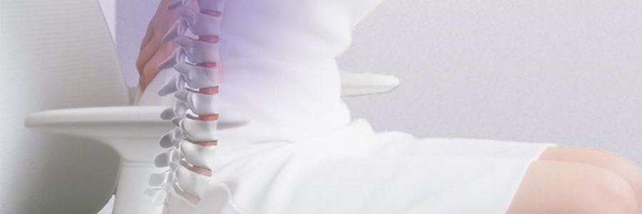 BKT 人體工學護腰坐墊靠背 久坐神器坐姿托 多種椅子適用 加大版丁香紫 422*362*310mm 【楊冪同款 故宮聯名】