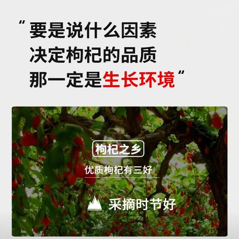 【中國直郵】 新邊界 特級枸杞紅枸杞不熏硫免洗紅枸杞子 泡酒可乾吃養生滋補枸杞茶煲湯煮粥送禮長輩父母家長年貨400g