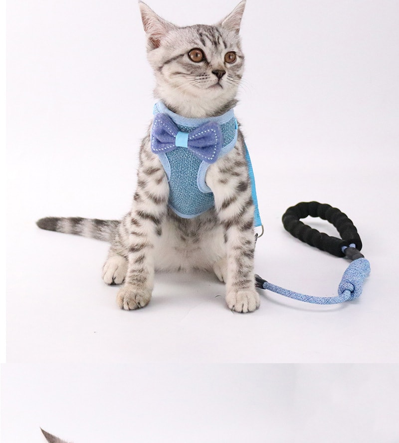 【中国直邮】尾大的喵 猫咪牵引绳 灰色 适合5-20斤猫咪 宠物用品