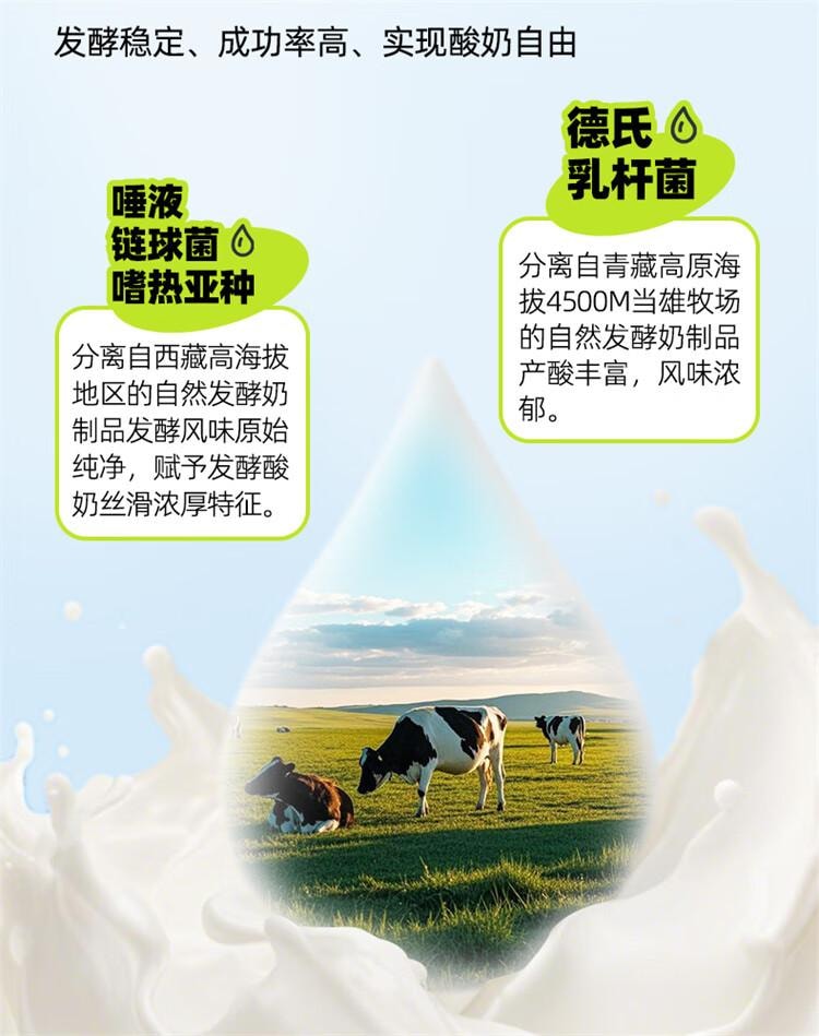 【中国直邮】 百钻 酸奶发酵剂99菌  家用自制酸奶发酵剂菌种双歧杆菌益生菌粉  20g