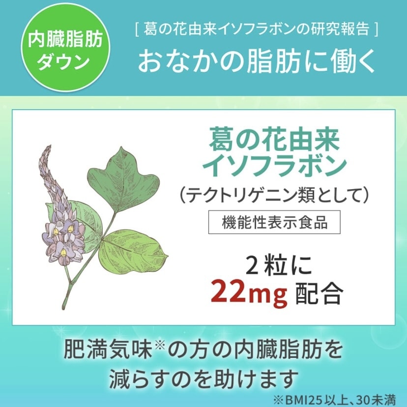 【日本直邮】KIRIN 麒麟 i MUSE 免疫支持 Plasma乳酸菌+ 消减内脏脂肪 营养片 15日4包 附带日表