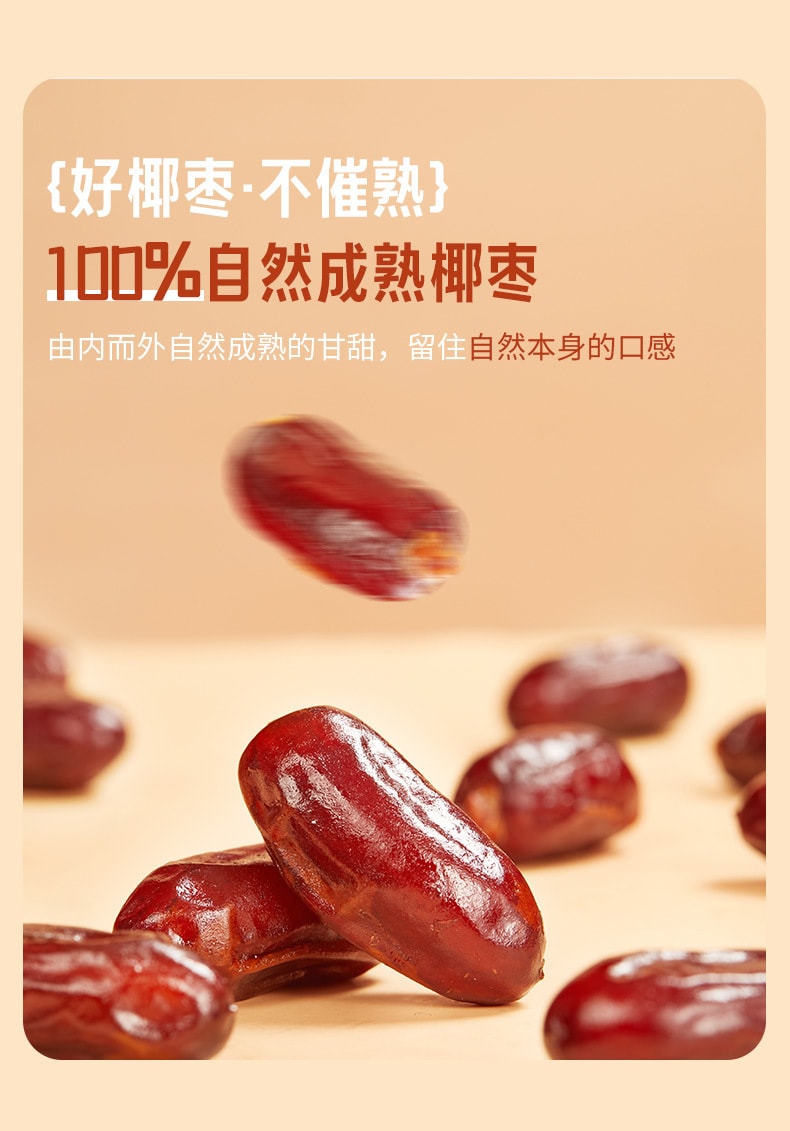 Saudi Arabia Date Palm 105g