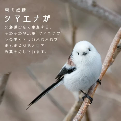 【日本直郵】 北海道 限定 童話 起司蛋糕 8個入 可愛小鳥起司小蛋糕 品嚐期限120日
