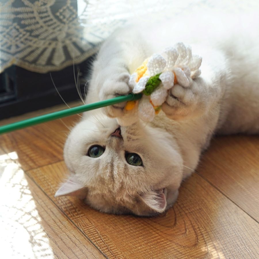 ZEZE 花朵逗猫棒宠物仿真花朵玩具含猫薄荷中国猫咪用品 1件装