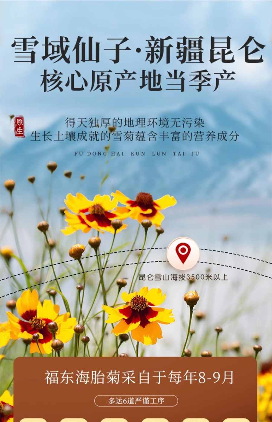 【中国直邮】 福东海 昆仑雪菊 非野生胎菊天山血雪菊花茶50g/罐