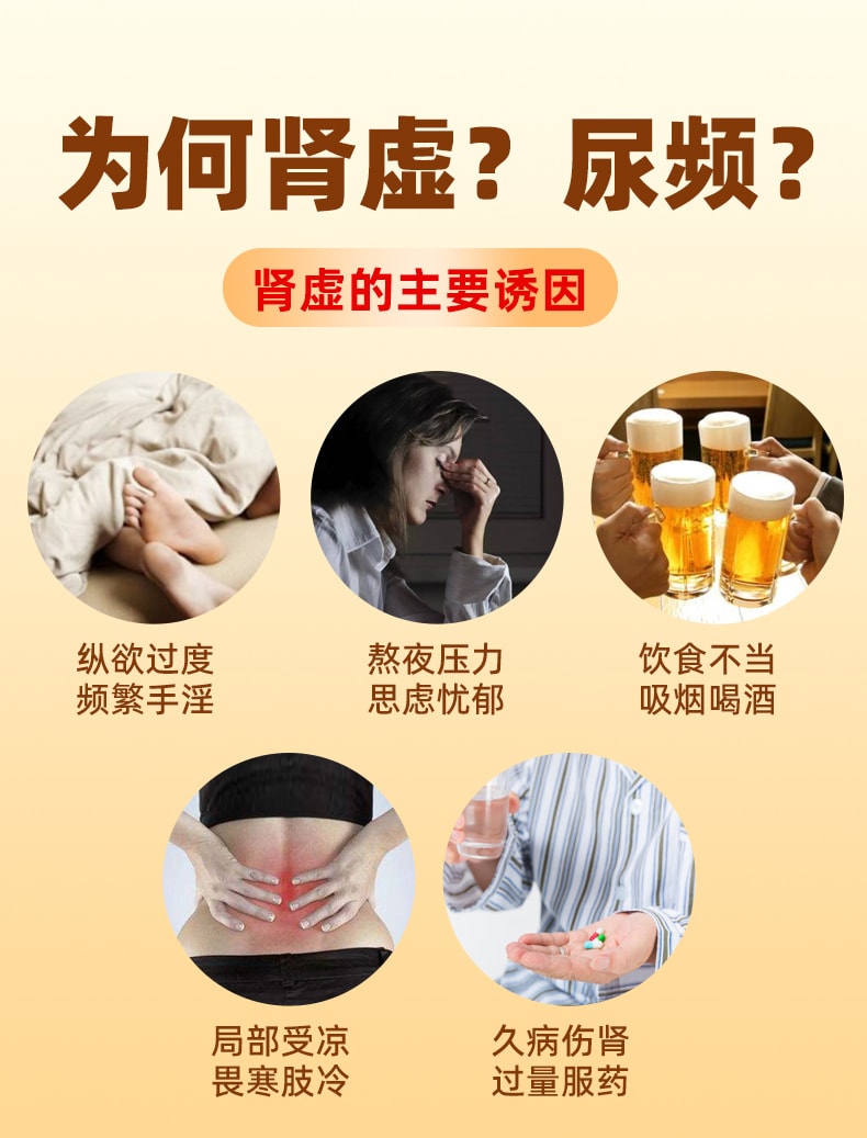 【中国直邮】 栢吉堂 全鹿丸12袋/盒 正品健脾益气补肾填精肾虚脾肾两亏尿频尿急补肾药