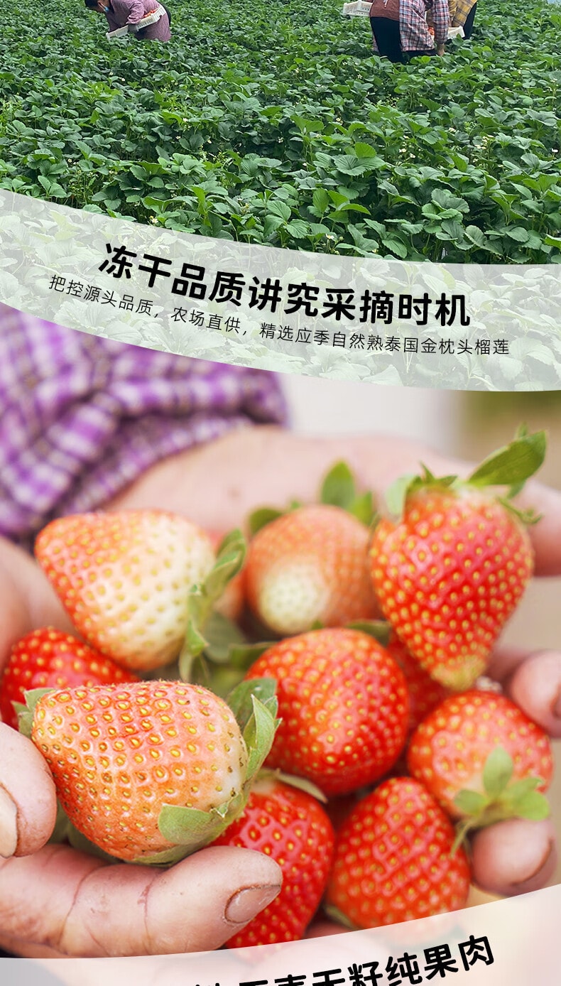 【中国直邮】有零有食奶香草莓球莎拉系列冻干草莓零食草莓脆水果干果干蜜饯30g/袋
