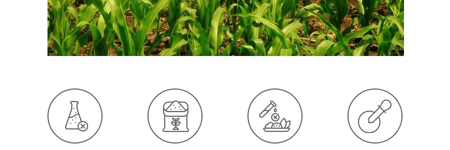 興龍墾 生態小鎮 有機玉米粉 2lb USDA認證