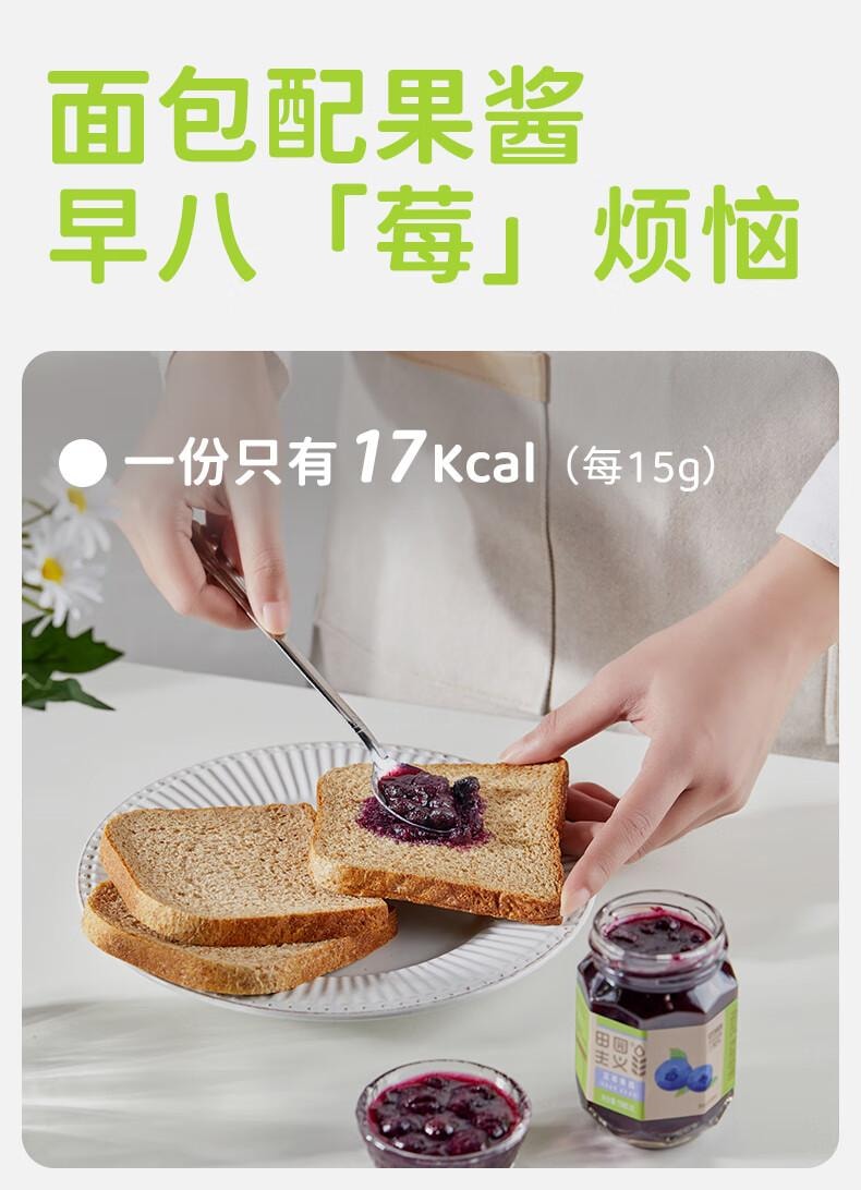 【中国直邮】 田园主义 纯熬蓝莓酱果酱宝宝儿童幼儿0脂无添加涂抹面包90%果肉早餐150g