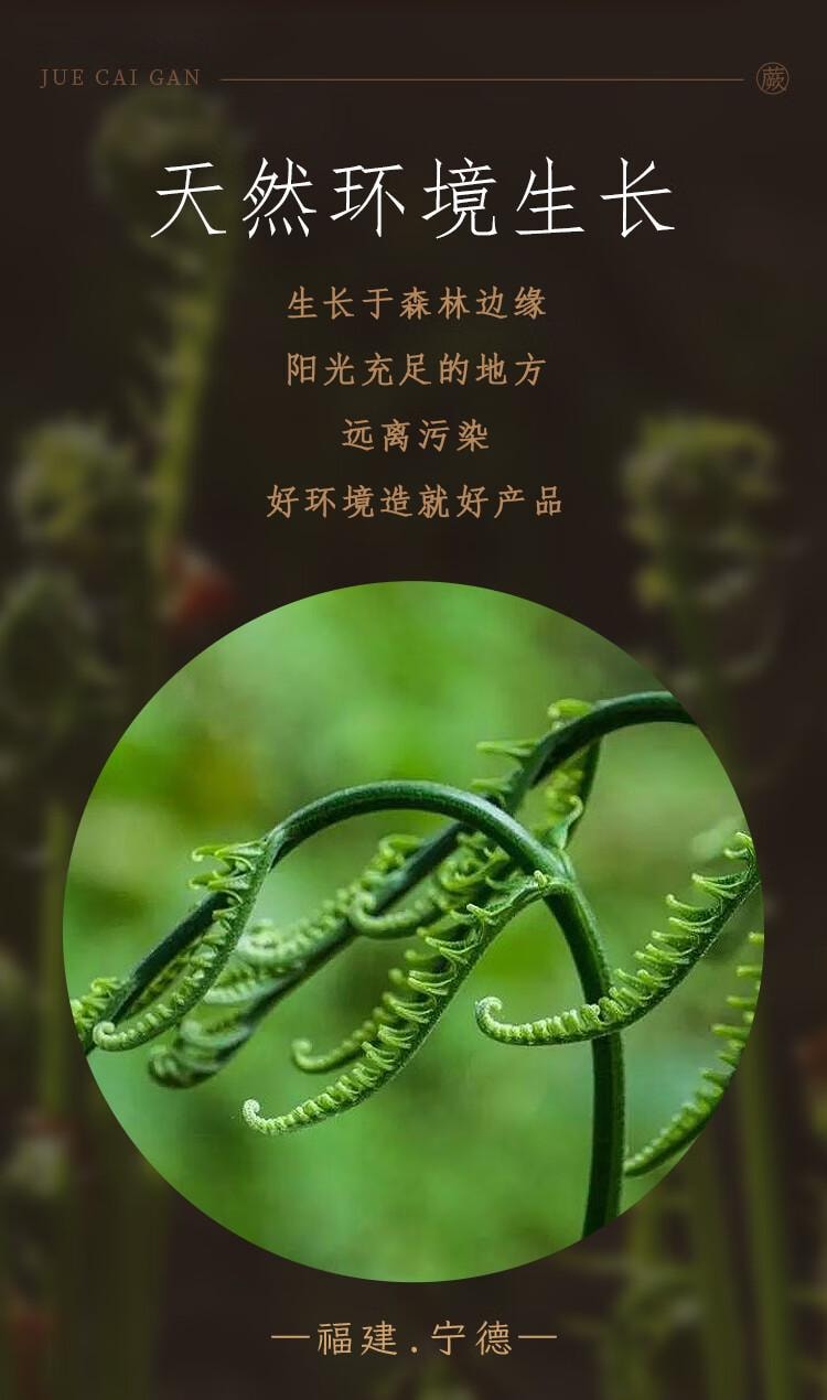 中国直邮】 鲜窝窝蕨菜干野生蕨菜干货干菜龙爪菜山野菜脱水蔬菜南北干货300g - 亚米, image size:750x1270