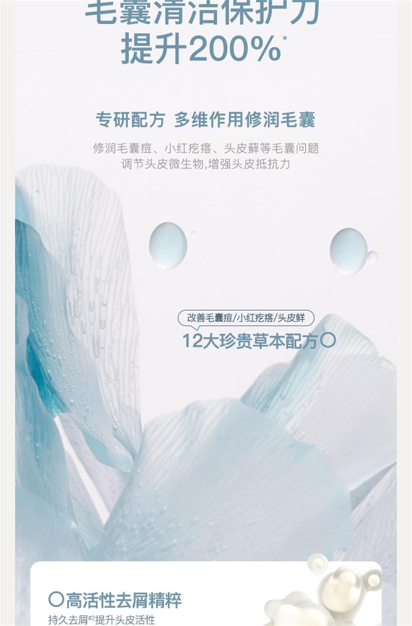 【中國直效郵件】 沫芮 毛囊洗髮精 去屑控油 止癢頭皮清潔蓬鬆 正品洗髮露 500ml/瓶