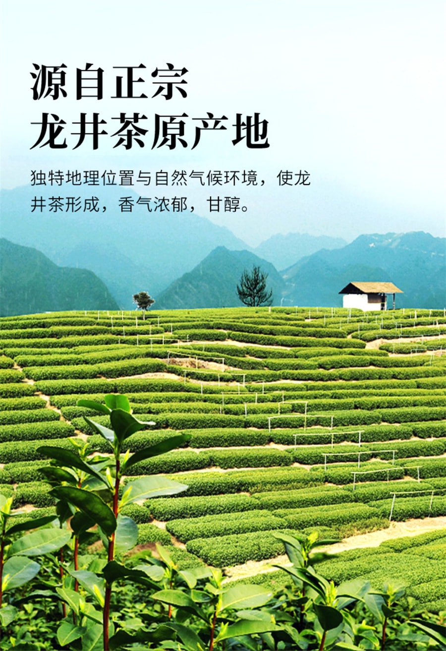 【中国直邮】一杯香  2023新茶龙井香明前茶叶绿茶春茶    250g/罐