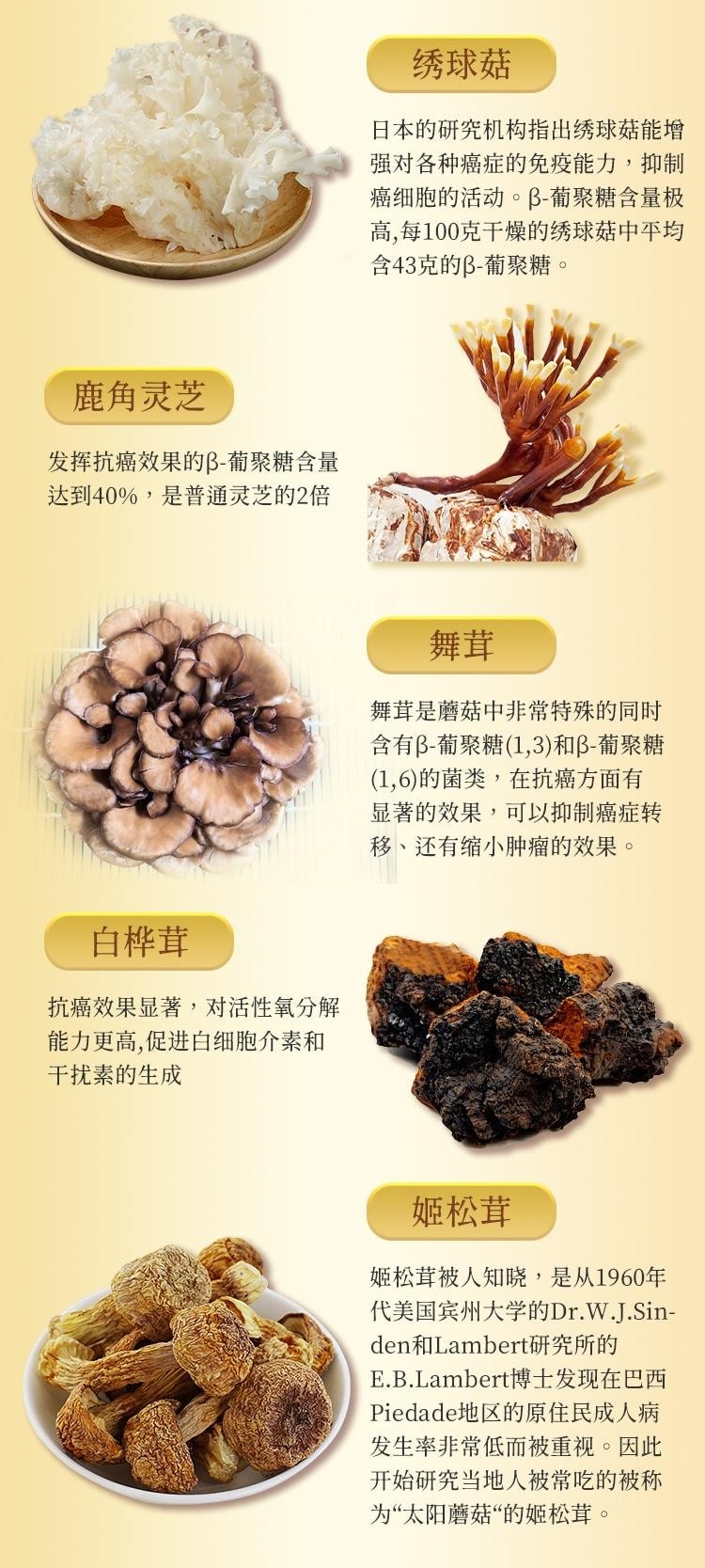 【日本產】UMEKEN 自爱 β-葡聚糖 【新升级】葡聚糖含量高达280mg 9种顶级菌菇精华 调节免疫力 改善体质 预防疾病【灵芝 鹿角灵芝 冬虫夏草 姬松茸 舞茸 绣球菇 白桦茸 桑黄蘑菇 白桦茸】 30包