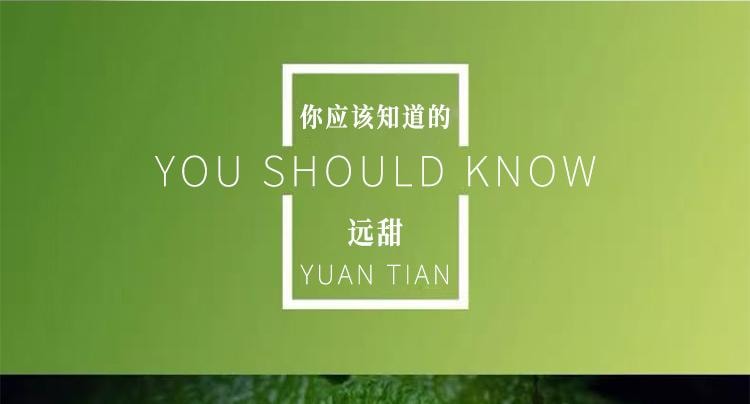 Lotus Leaf Granules 100g