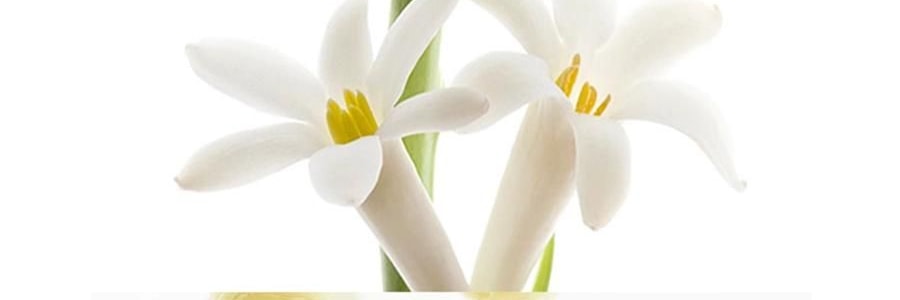 RE CLASSIFIED RE調香室 無火香薰 香氛揮發室內臥室持久 月落桂子(花版) 150ml