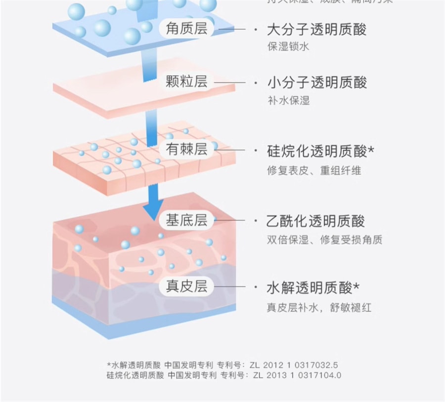 【中国直邮】 泊本 6D玻尿酸保湿舒缓精华液 快速补水长效保湿舒缓敏感修护 28ml/瓶