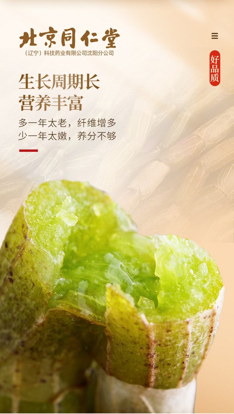 【中国直邮】北京同仁堂  铁皮石斛枫斗新鲜石斛干条石斛泡茶煲汤滋补品  60g/罐
