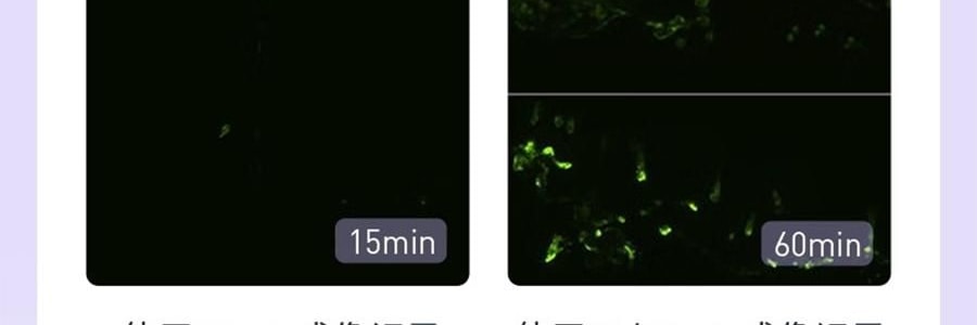 COLLGENE可丽金 胶原大膜Human-like王重组胶原蛋白抗皱紧致面膜 赋能珍萃紧致驻颜面膜 3g*20杯 清爽版 改善熬夜脸 光滑弹性