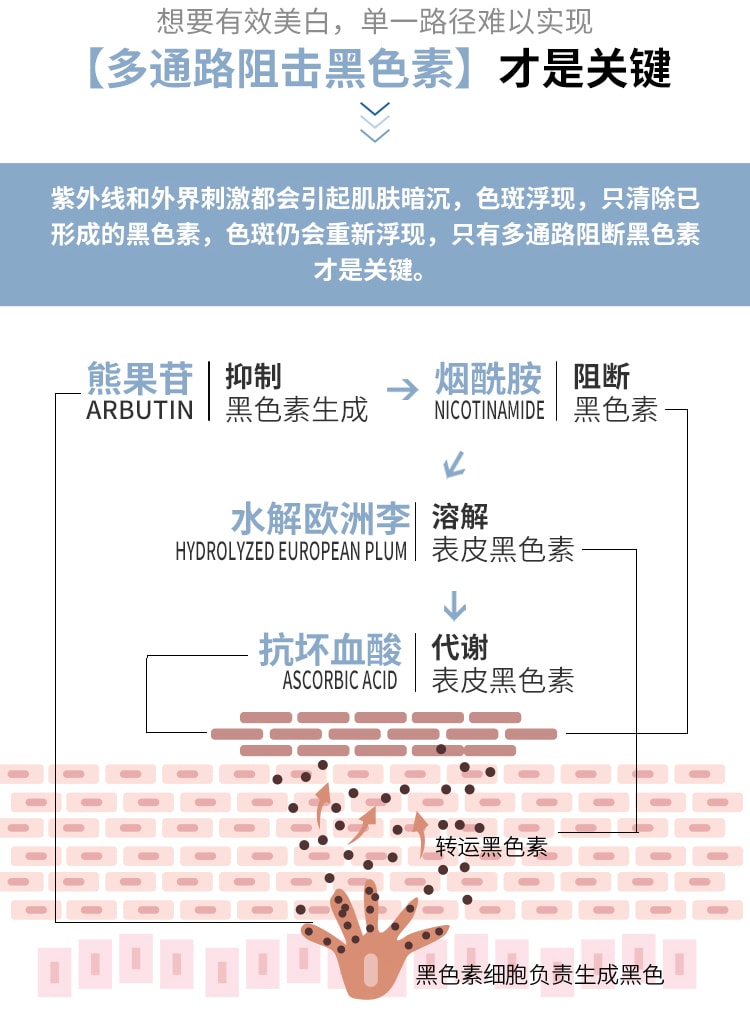 【中国直邮】仁信堂 美白祛斑精华液 全新升级 速白瓶修护保湿 有效改善色斑 20ml/瓶 (赠送替换装-小红书种草推荐)