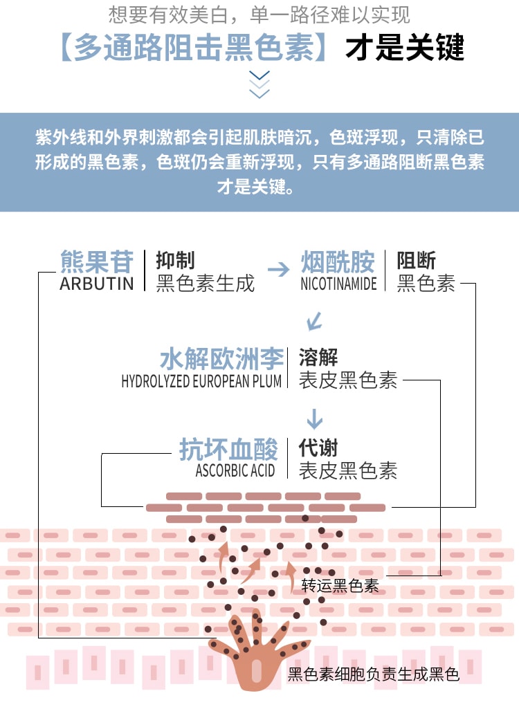 【中国直邮】仁信堂 美白祛斑精华液 全新升级 速白瓶修护保湿 有效改善色斑 20ml/瓶 赠送替换装 (七老板推荐)