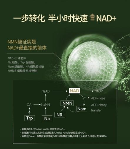 【日本直郵】 日本 清美堂 SEIBIDO日本 N+12000 高純度NMN單一配方膠囊 每瓶 60粒含NMN12000mg